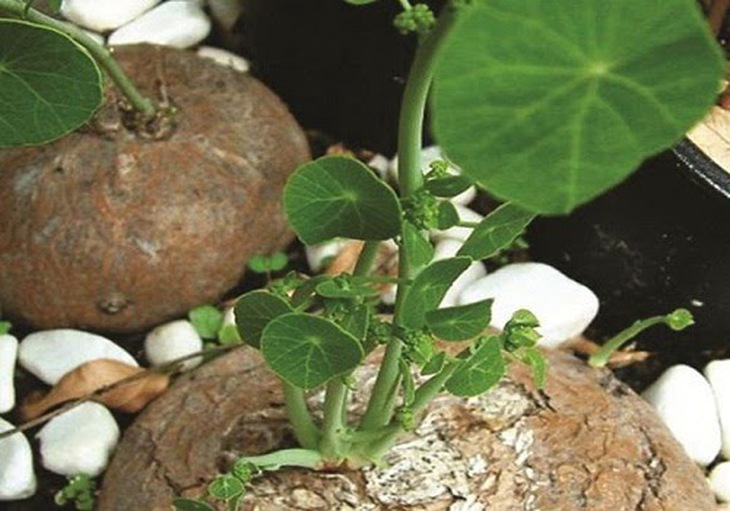 image001